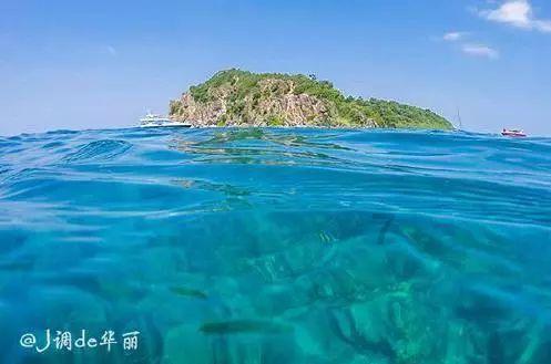机智问答网页-探索智慧的在大学录取时,应届生和复读生是否有区别呢?世界!