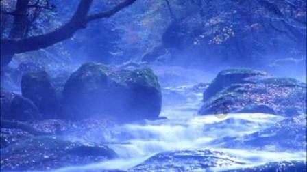 飙酷车神